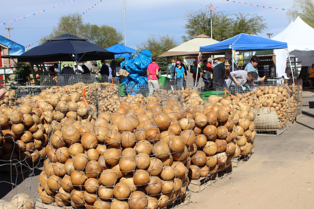 Arizona Gourd Festival!